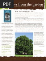 News From The Garden: What Is The Value of A Tree?