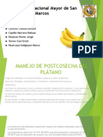 Manejo de Postcosecha Del Plátano.l