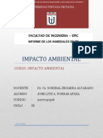 IMPACTO AMBIENTAL Visita A Campo Ite