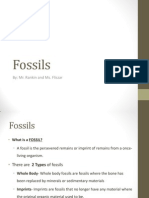 Fossil Lesson PP