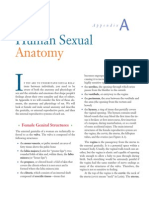 Human Sexual: Anatomy