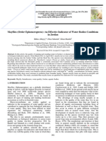 Mayflies (Order Ephemeroptera) : An Effective Indicator of Water Bodies Conditions in Jordan