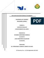 Levantamiento de Campo Tuberias