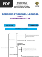 Tema 4 Competencia Objetiva