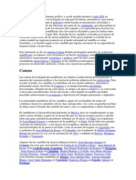 El Caudillismo Es Un Fenómeno Político y Social Surgido Durante El Siglo XIX en Latinoamérica