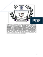 Dedo Equino PDF