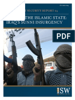 Sunni Insurgency in Iraq