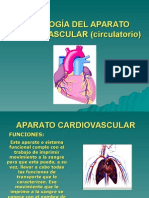 001 Clase 1 Fiopatologia Aparato Cardiovascular Circulatorio