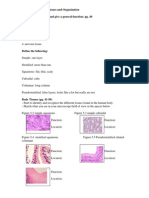 Human Biology Laboratory 4: Body Tissues and Organization List The 4 Tissue Types and Give A General Function: Pg. 40