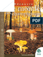 Le Monde Des Champignons