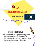 HYDROCEPHALUS