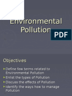 Environmental Pollution Final