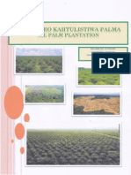 Data Kebun PT - Borneo Khatulistiwa Palma