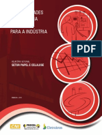 Eficiência Energética para A Indústria - Papel e Celulose - 2010 PDF