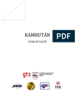 43 Rambutan PDF