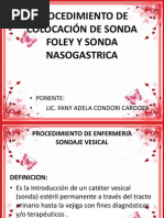 Procedimiento de Colocación de Sonda Foley