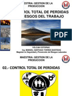 Control Total de Perdidas PDF