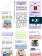 TRIPTICO Contaminacion Del Agua