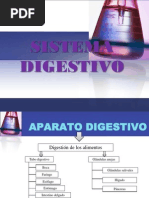 Aparello Dixestivo PDF