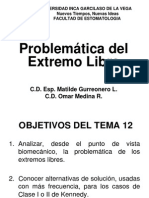 PPR Tema 12 Problematica Del Extremo Libre PDF