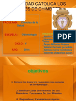 Trastornos Motores de Mediación Central PDF