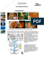 Cours Biologie Marine Bryozoaires Ligne PDF