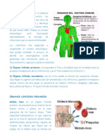 Planeador 8° Biologia 4to Periodo