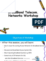 Broadband Telecom. Networks Workshop