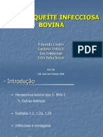 Rinotraqueíte Infecciosa Bovina