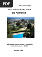 Tejas Verdes, Negro Tumor Del Puerto Rojo