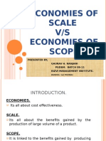 Economies of Scope and Scale