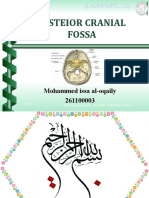 Posterior Cranial Fossa-Decamber2009