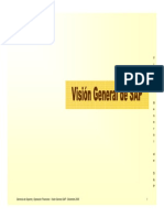 Vision General SAP PDF