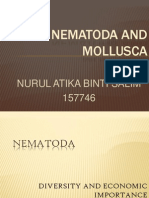 Nematode&Mollusca