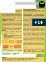 Practica 3 Actividad Antinociceptiva