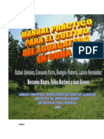 Cultivo de Aguacate PDF