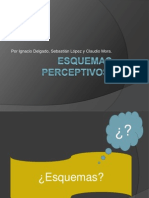 Esquemas Perceptivos