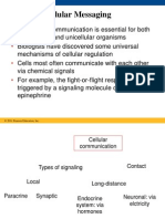 Overview: Cellular Messaging: © 2011 Pearson Education, Inc