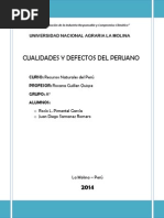 Info 2 CUALIDADES Y DEFECTOS DEL PERUANO PDF