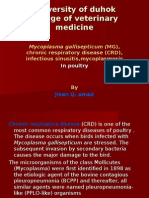 Chronic Respiratory Disease (CRD)