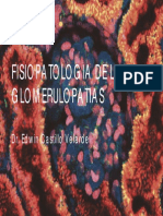 Fisiopatologia de Glomerulopatias 2014