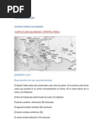 Estudio Sobre Colosenses