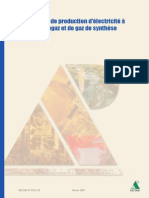 Rapport Record07-0226 1A PDF