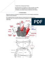 Estudio de Los Engranajes Rectos