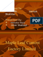 Maple Leaf Cement Factory Limited