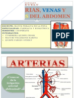 Arterias Venas y Nervios Del Abdomen