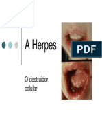 T212Herpes PDF