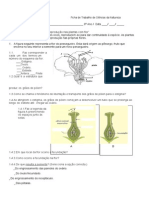 Ficha de Trabalho de Ciencias Da Natureza Do 6 Ano Reproducao Nas Plantas Com Flor