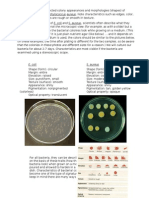 Bacteria Colony Appearance Morphology