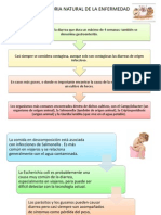 Historia Natural de La Enfermedad